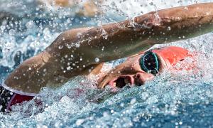 Copyright: <a href='http://www.123rf.com/profile_stefanschurr'>stefanschurr / 123RF Stock Photo</a>